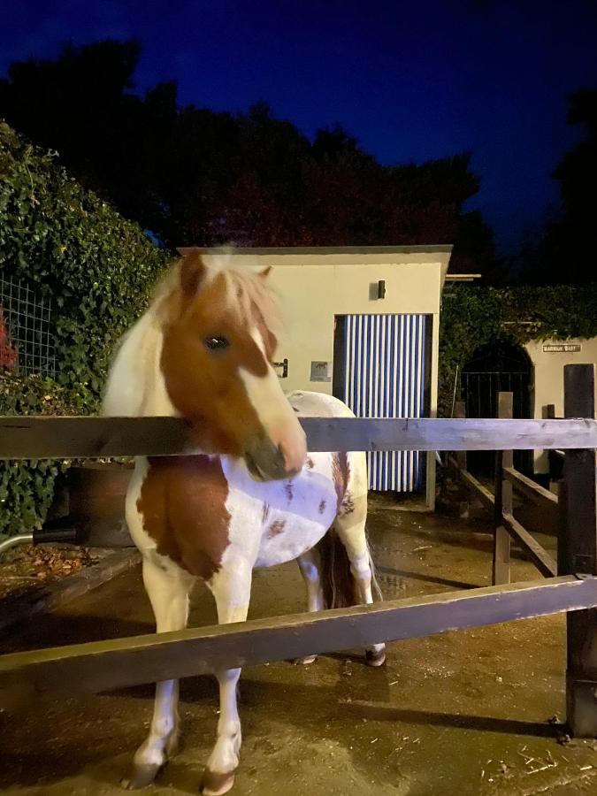 The Stable Annexe & Spa Dogdyke 外观 照片