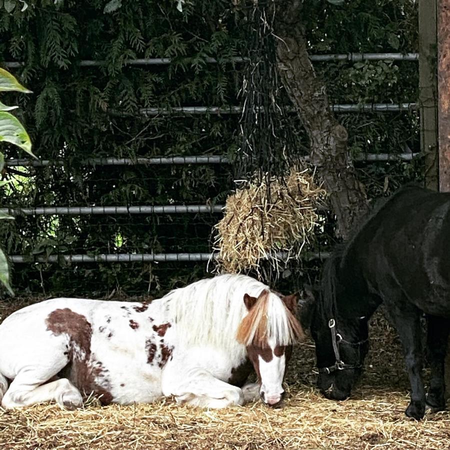 The Stable Annexe & Spa Dogdyke 外观 照片