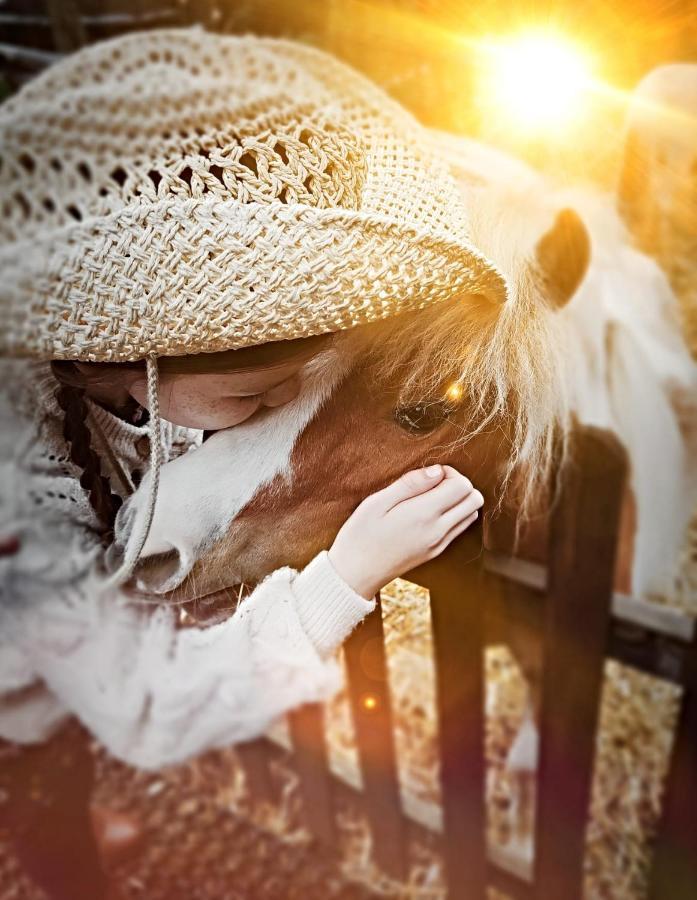The Stable Annexe & Spa Dogdyke 外观 照片