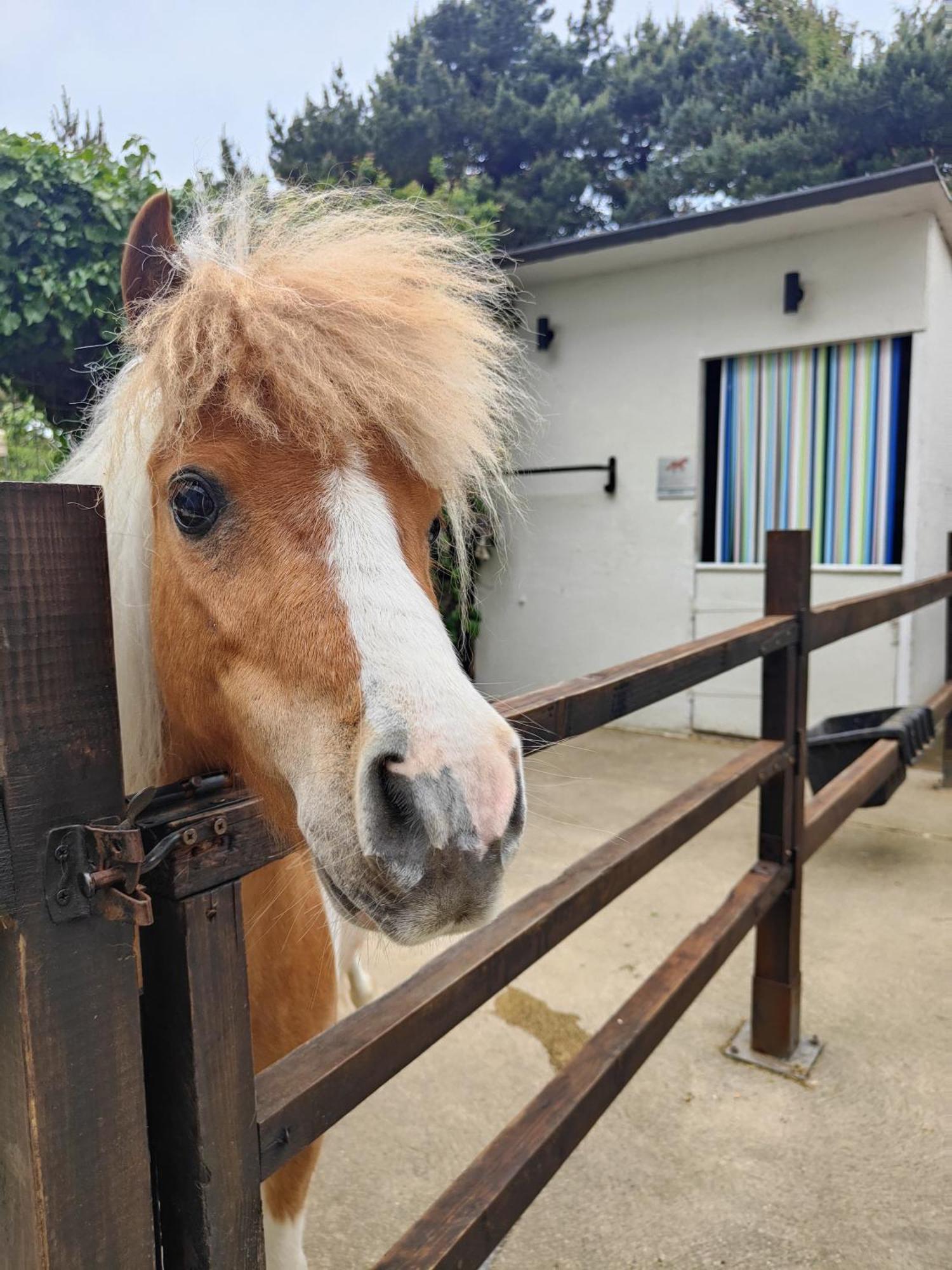 The Stable Annexe & Spa Dogdyke 外观 照片
